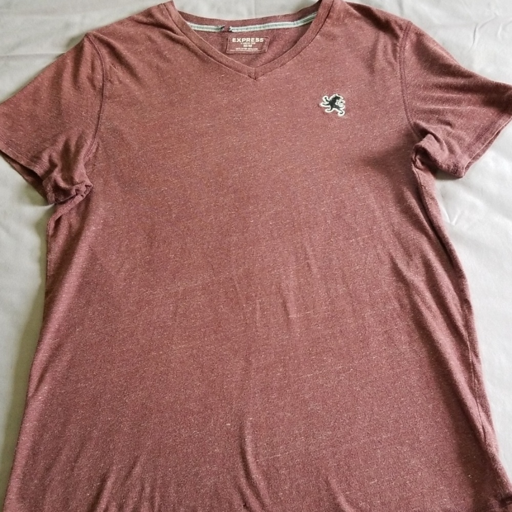Express V Neck T-shirt